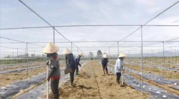 استراتيجيات وطنية جديدة تهدف إلى استعادة الأراضي الزراعية المتدهورة في عدة مناطق